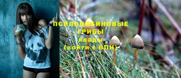 кокс Алексеевка