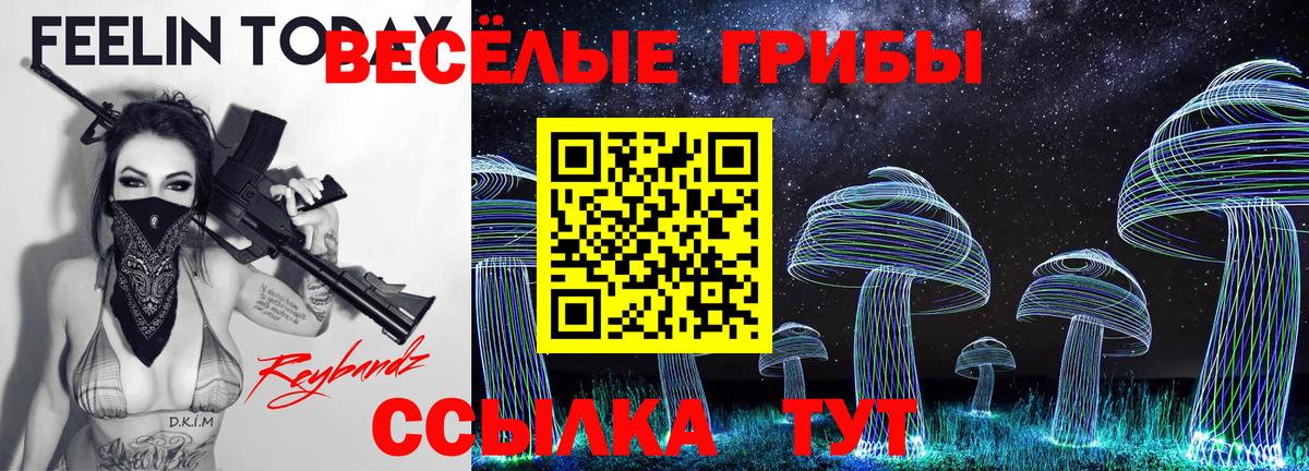 Псилоцибиновые грибы Psilocybe Кириши